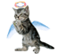 113gd